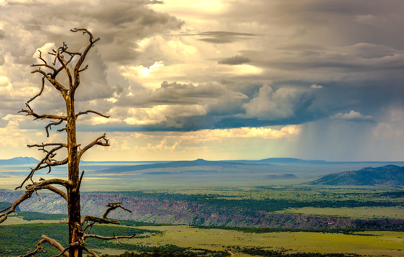 Skyline Trail overlooks Taos Plateau as thunderheads gather on horizon