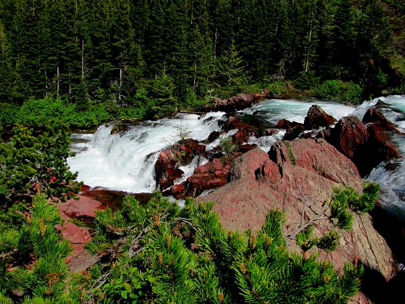 Clear cascades tumble over crimson stones at Redrock Falls, Many Glacier