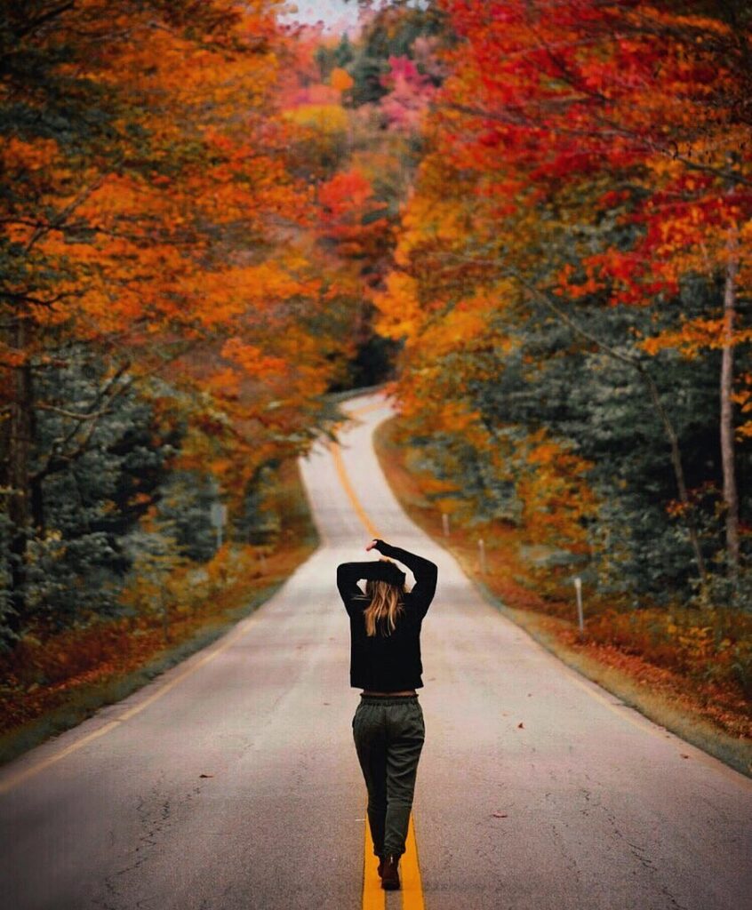 Leaves Changing in New England
