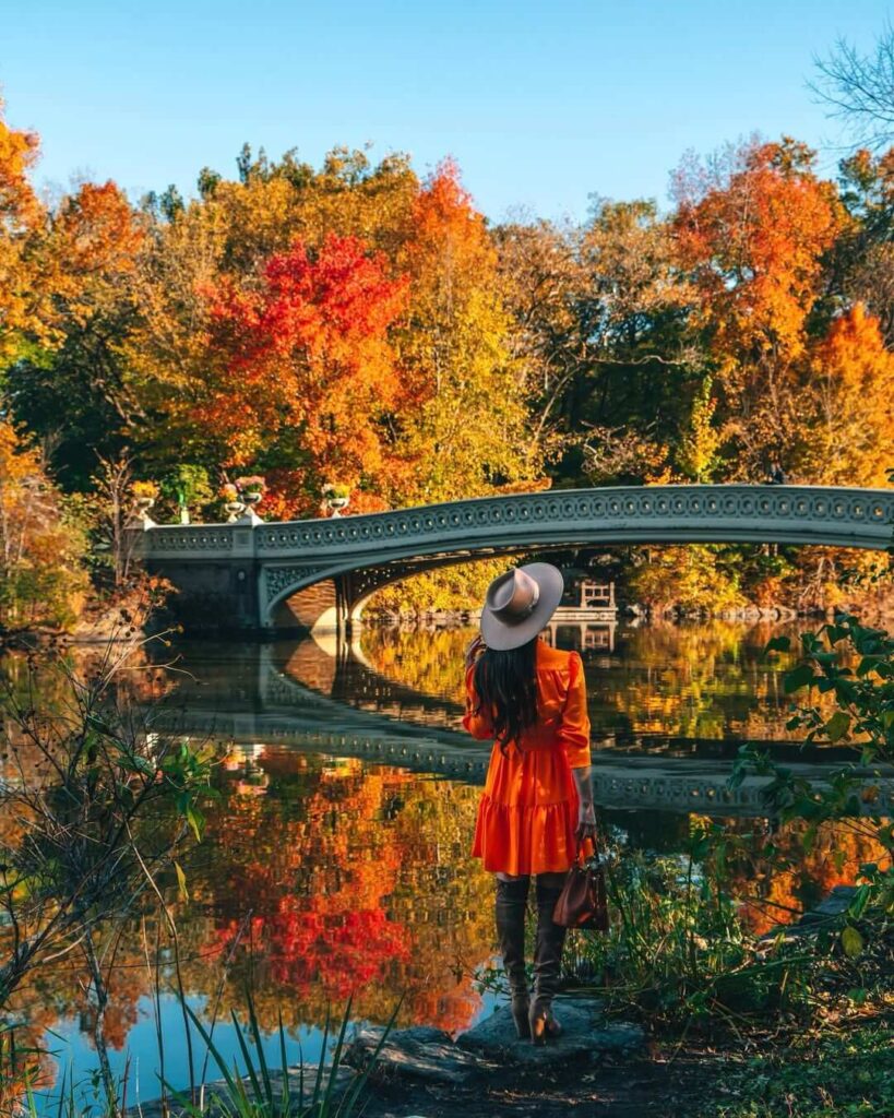 Central Park Bow Bridge