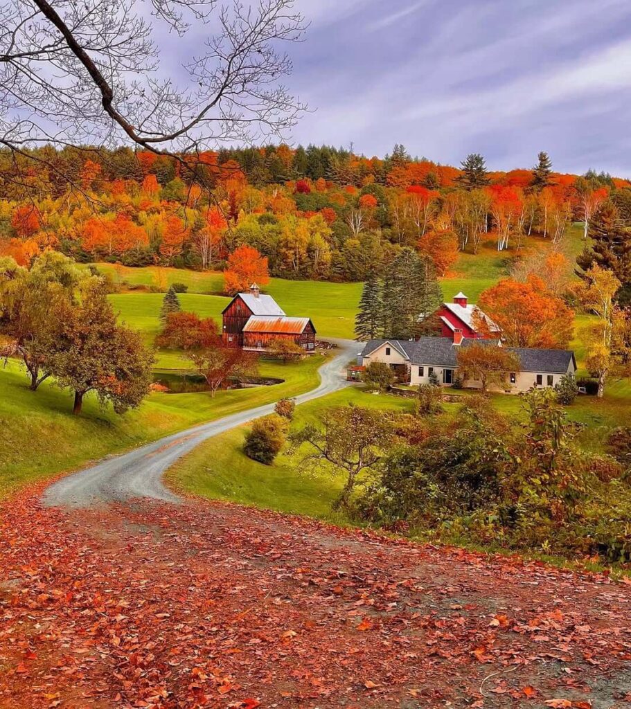 Sleepy Hollow Farm