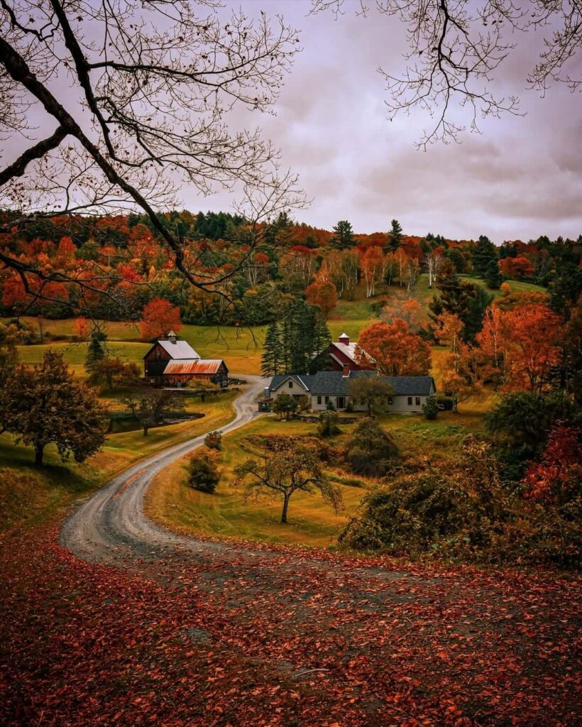 Sleepy Hollow Farm