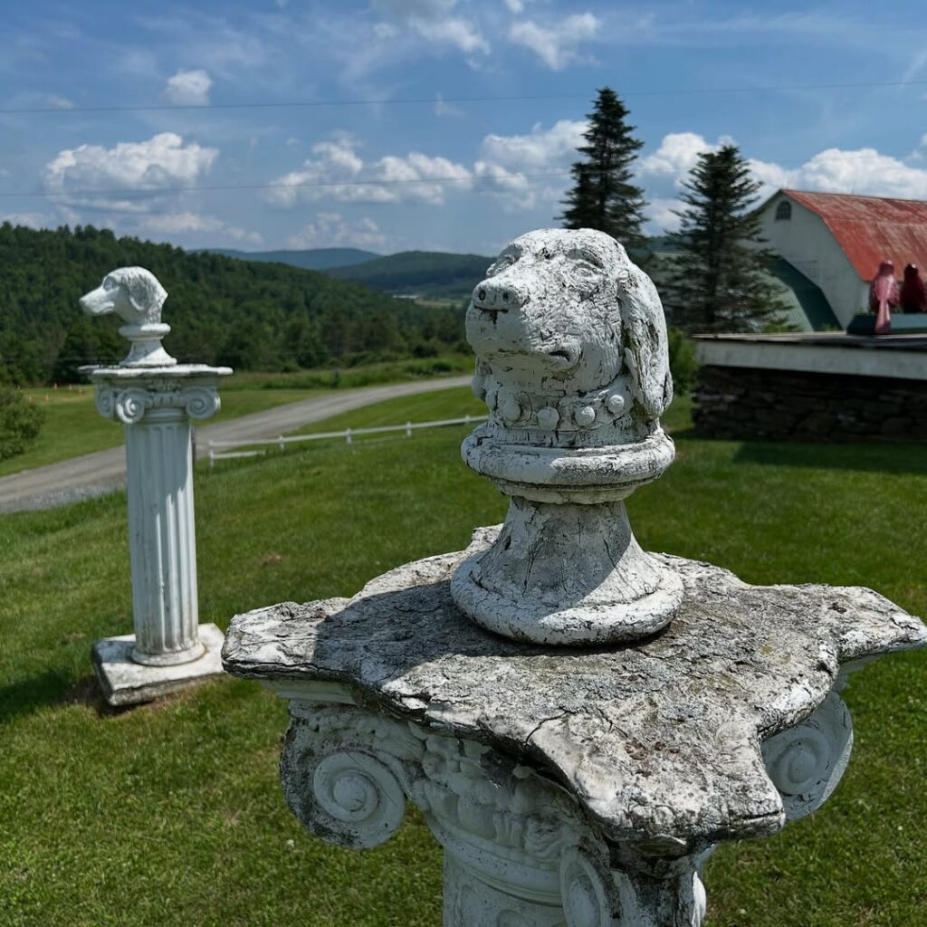St. Johnsbury Dog Mountain
