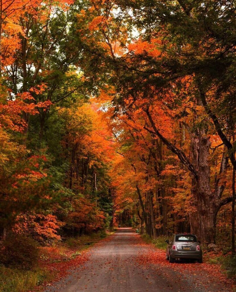 The Berkshires