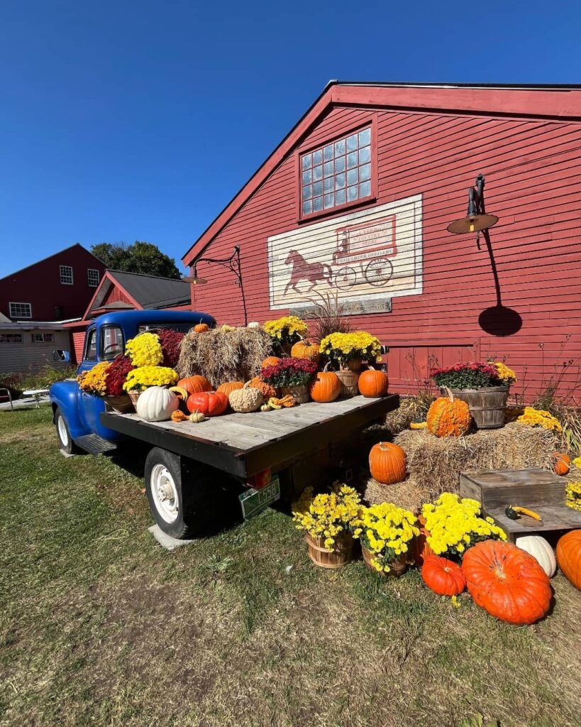 Vermont Country Store