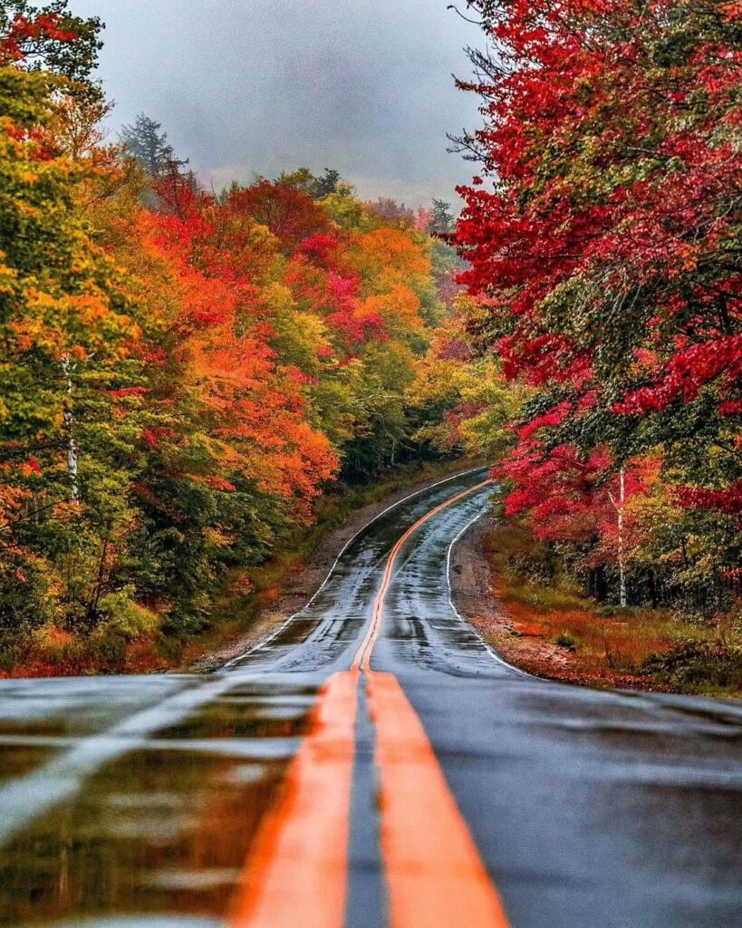 When is the best time to see the leaves in New England?