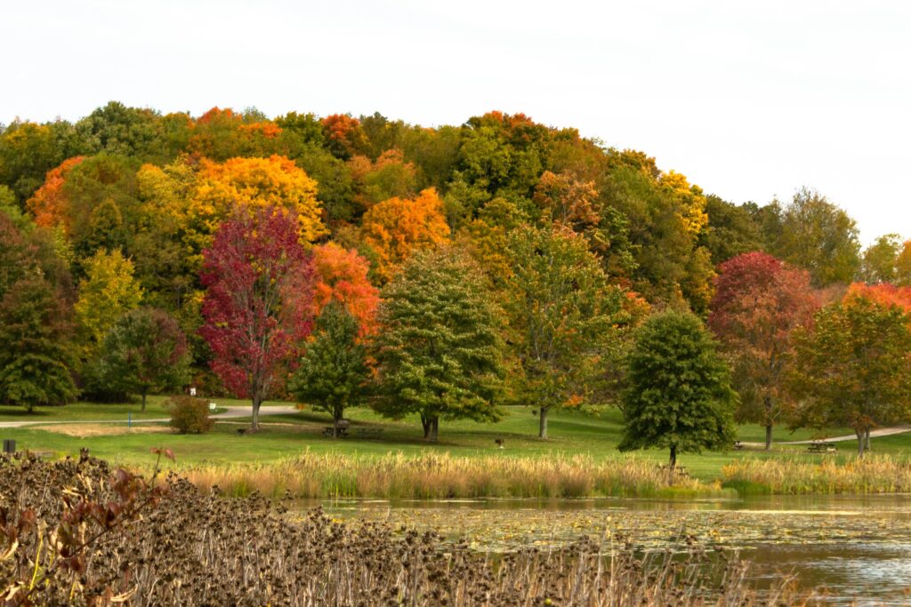 13 Best Places to See Fall Foliage in Pennsylvania Before It’s Gone