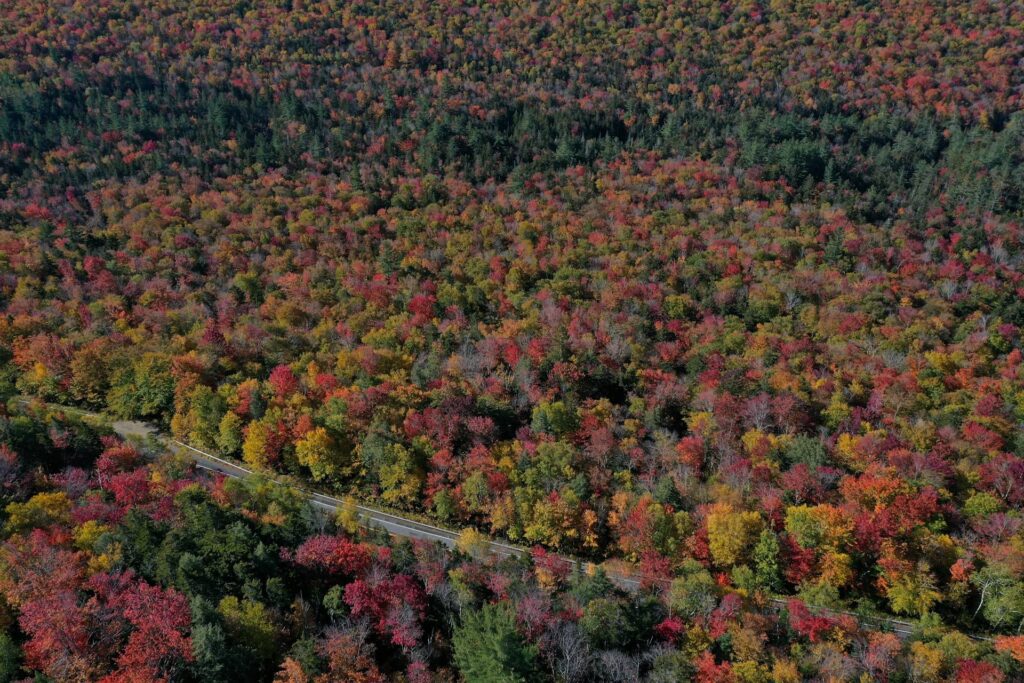 7 Day New England Fall Road Trip: The Ultimate Itinerary