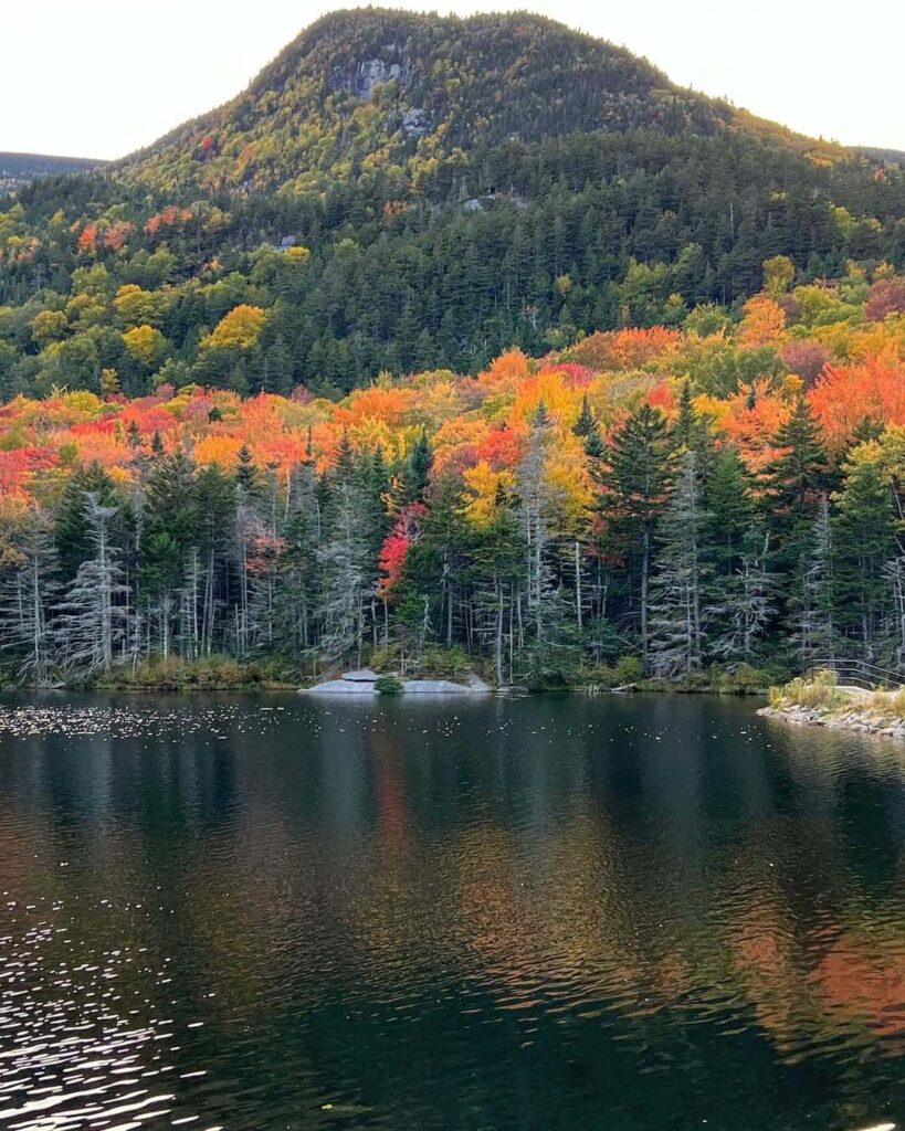 Beaver Pond Scenic Area