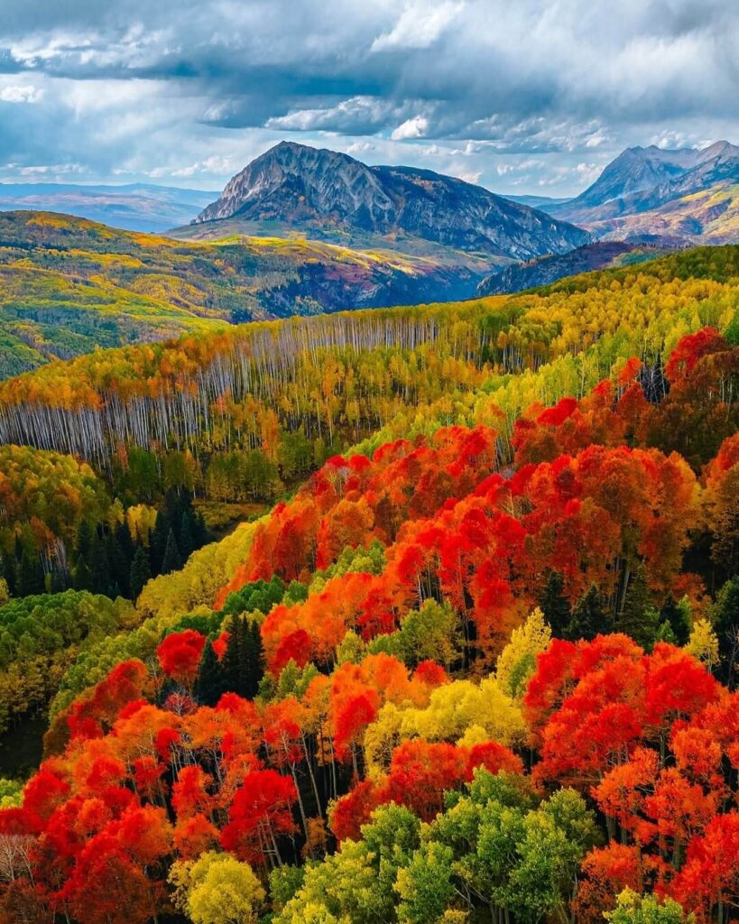 Best fall color in Rocky Mountain National Park
