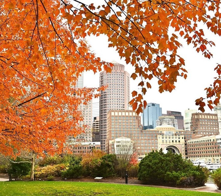 Boston Harbor Hotel