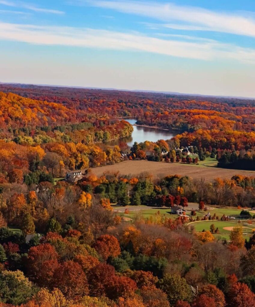 Bowman's Hill Tower