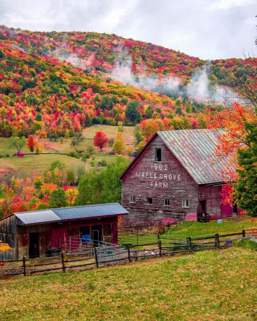 Bragg Maple Farm, Vermont