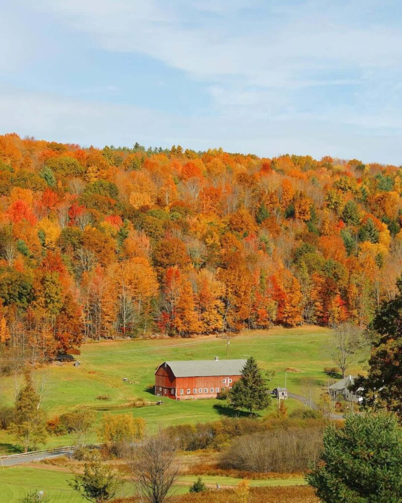 Catskills
