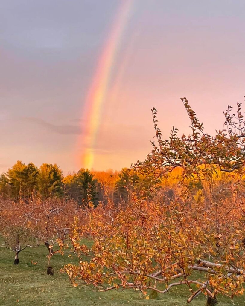 Cayford Orchard Farm – Skowhegan, Maine
