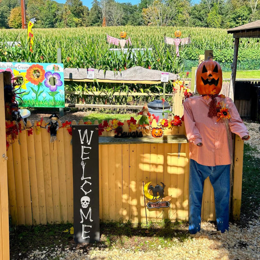 Corn mazes in Connecticut