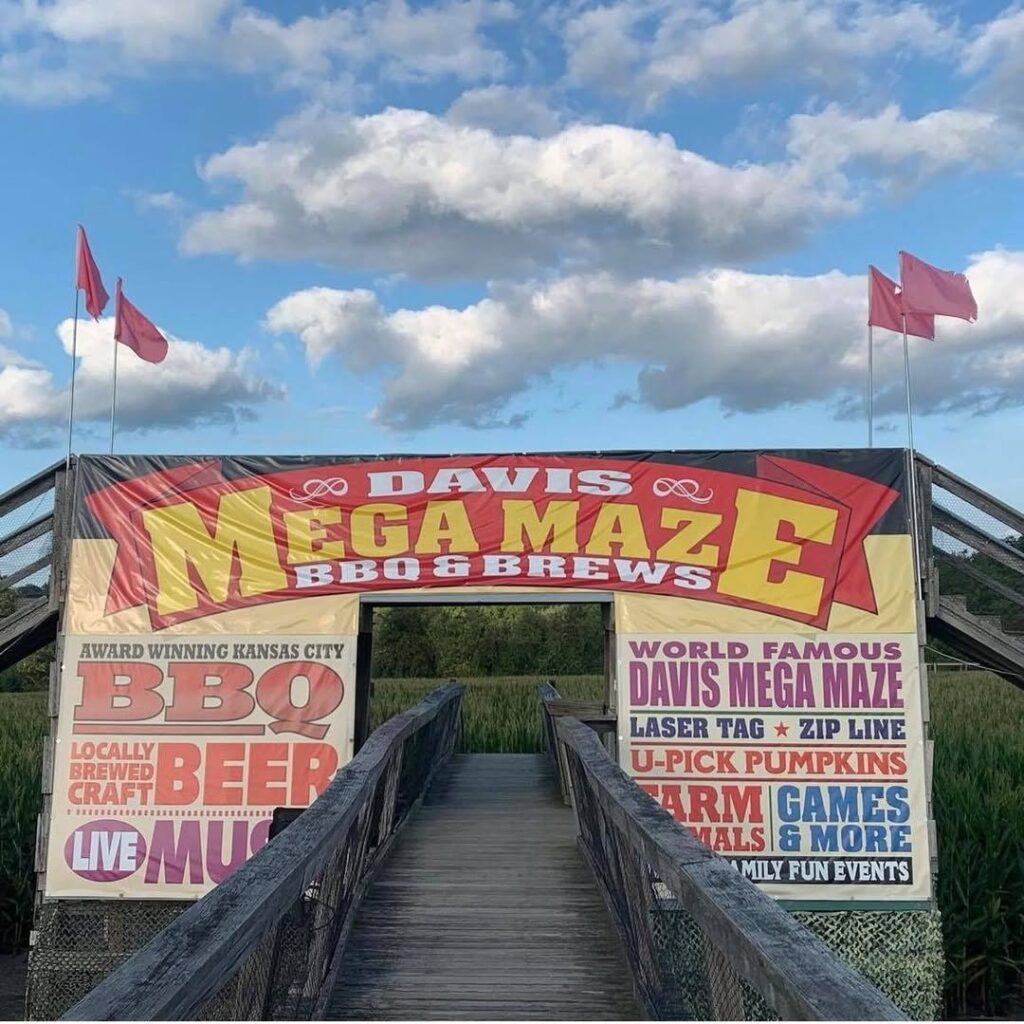 Davis Mega Maze