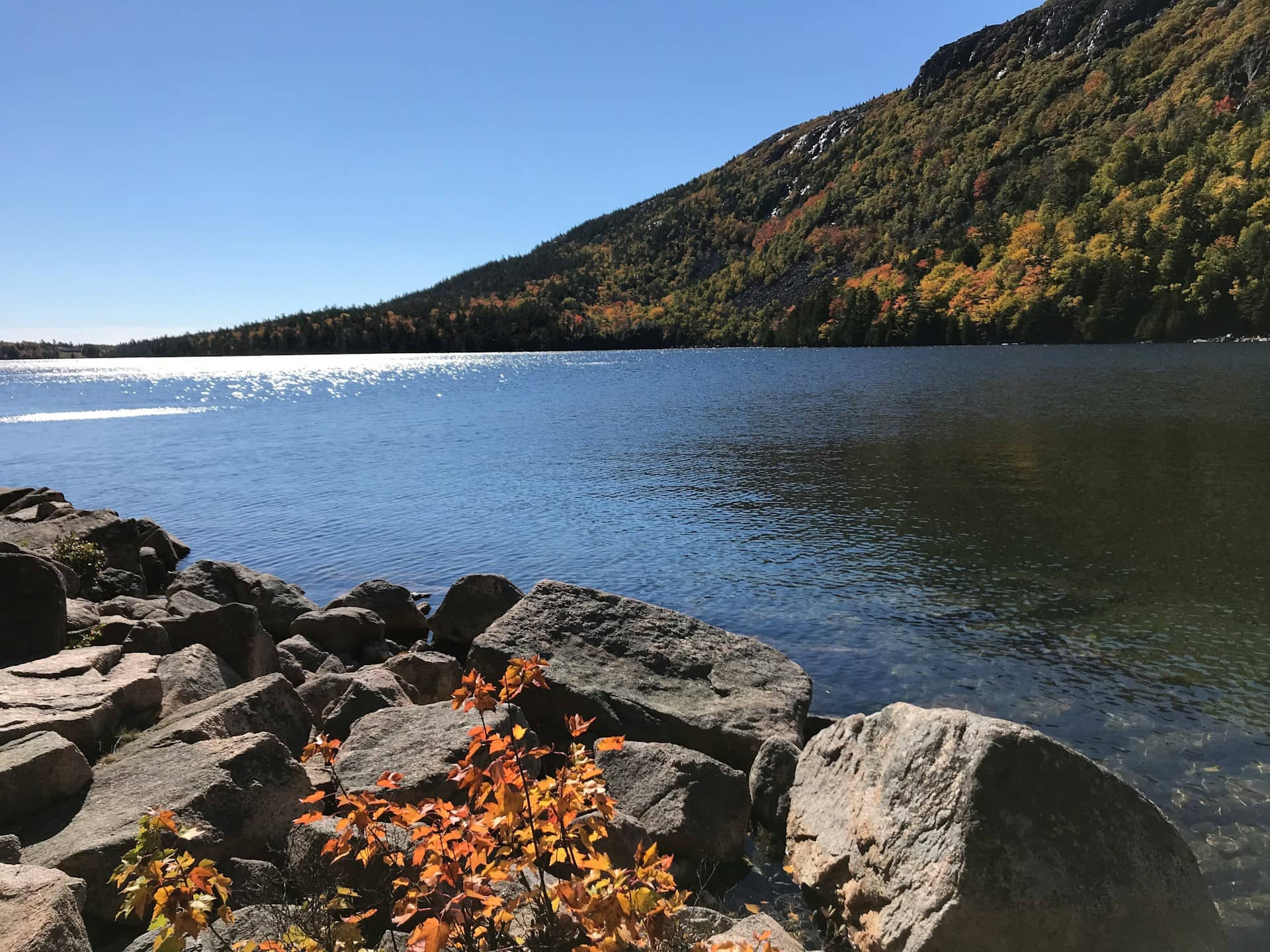 Epic Maine Fall Foliage Road Trips for Unforgettable Adventures