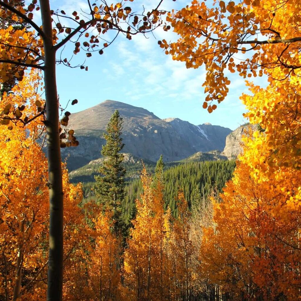 Fall In Rocky Mountain National Park