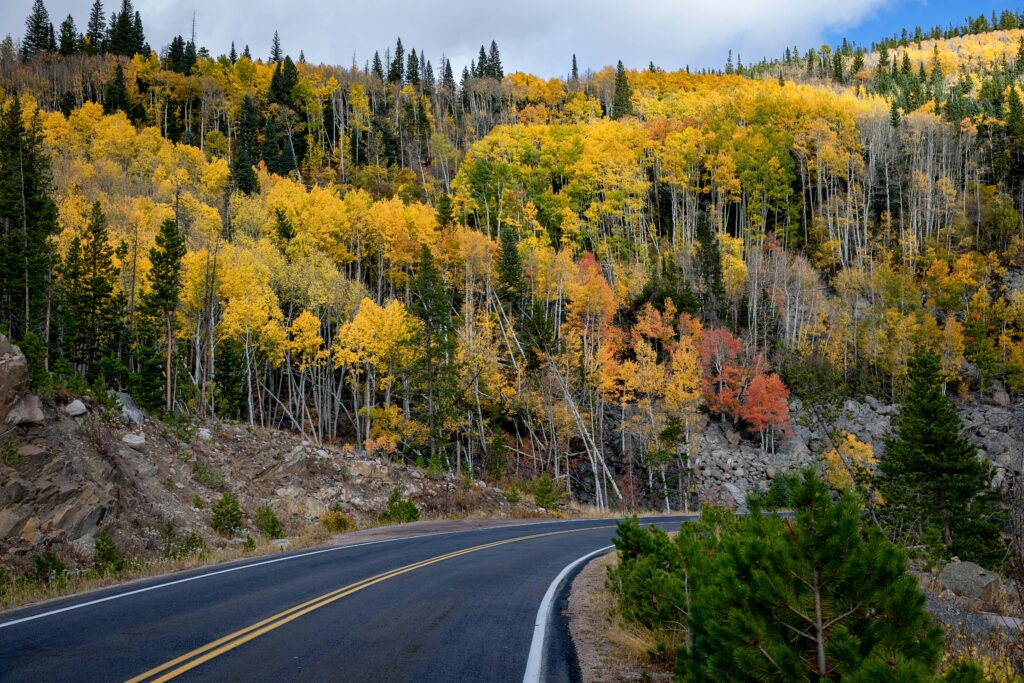 Fall in Rocky Mountain National Park