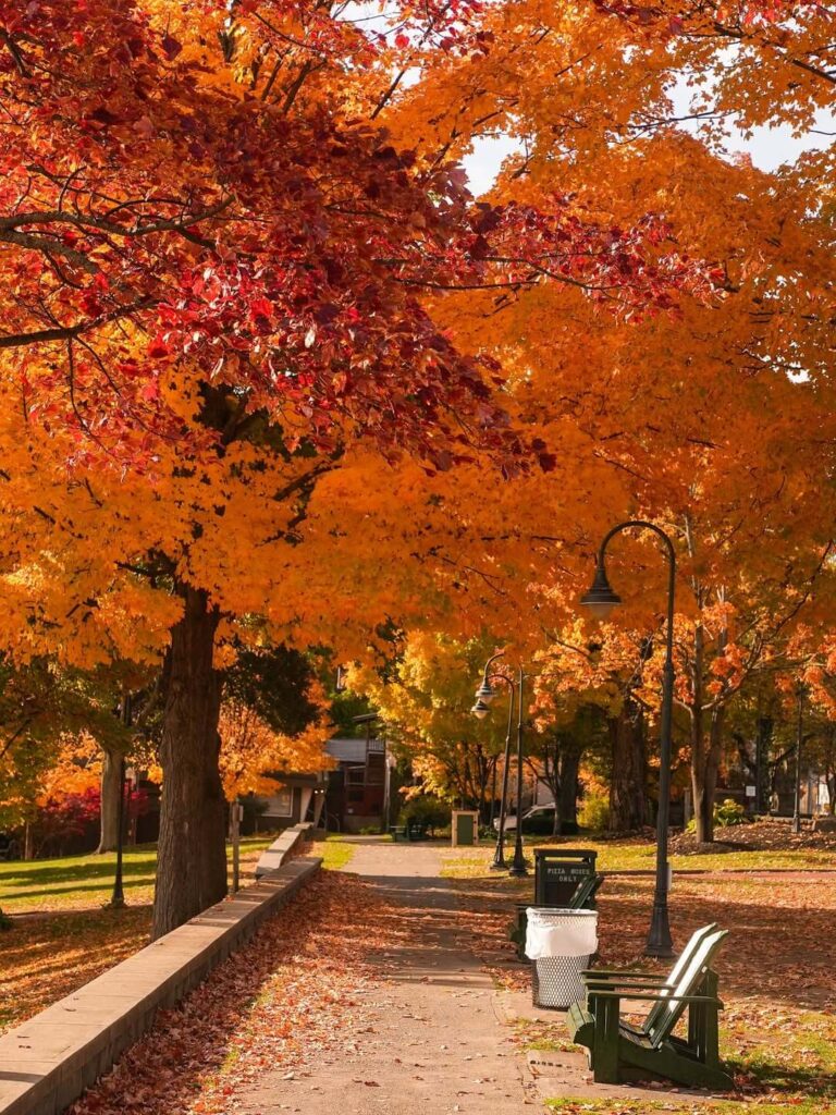 Fall in love with the Lake George Area