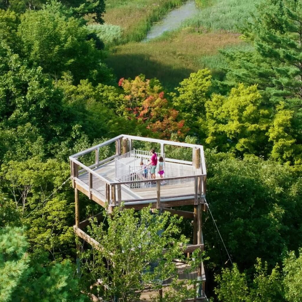 Forest Canopy Walk
