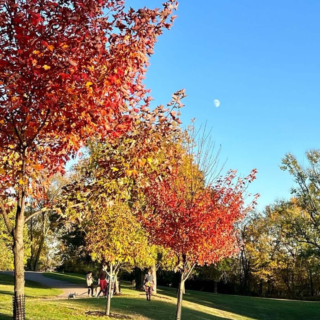 Frick Park