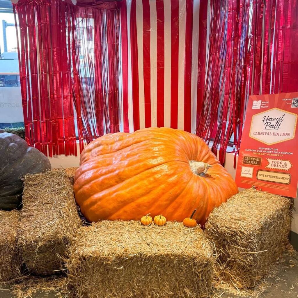Giant Pumpkins at Boston Public Market