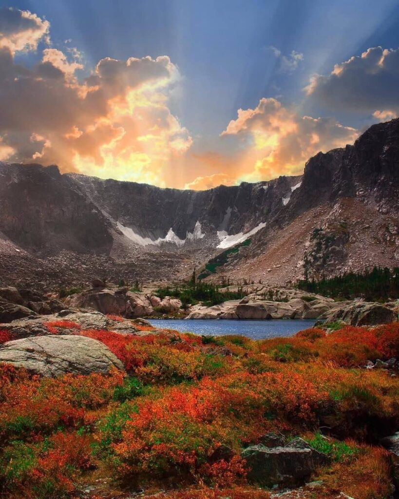Golden aspens of Rocky Mountain National Park