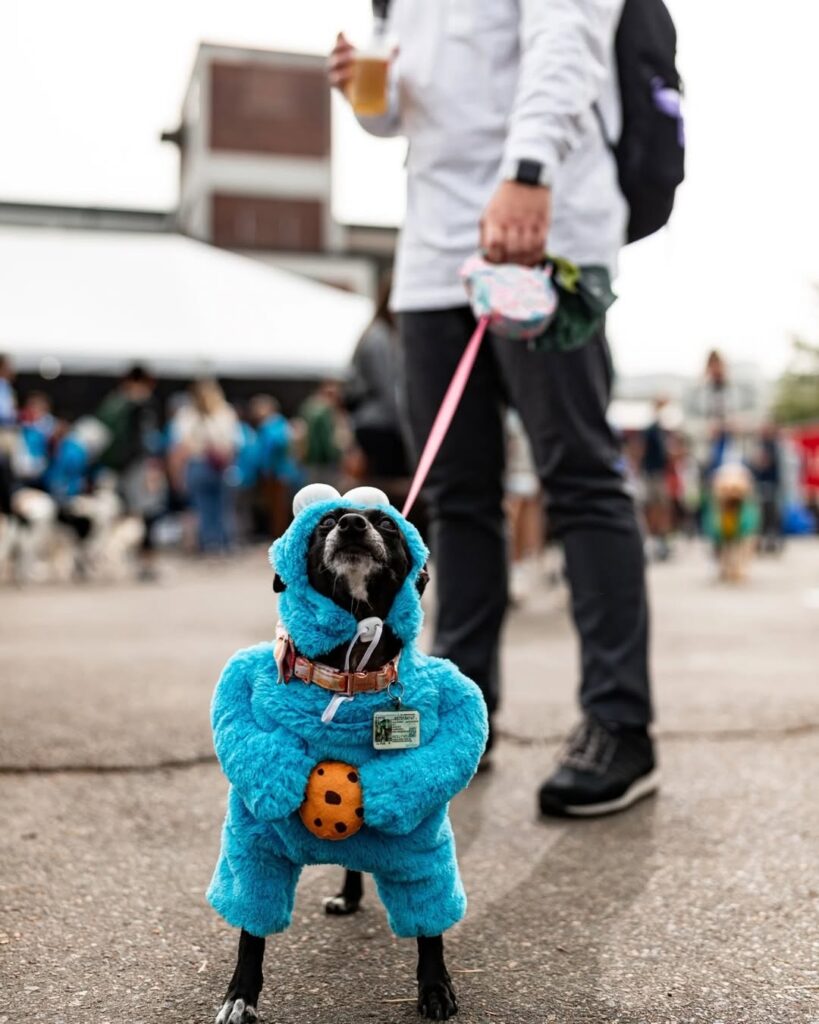 Harpoon Dogtoberfest