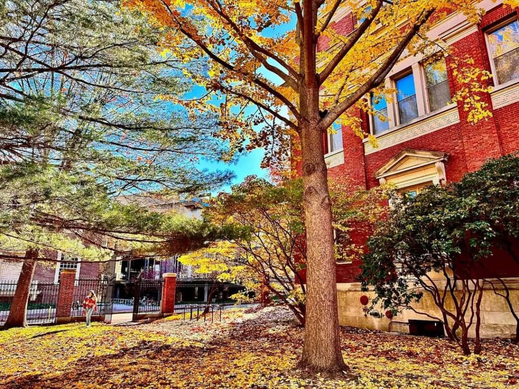 Harvard Campus