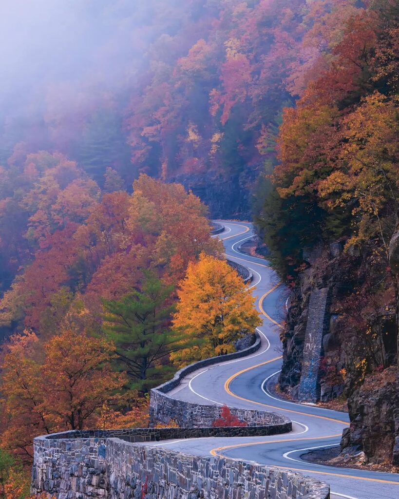Hawks Nest