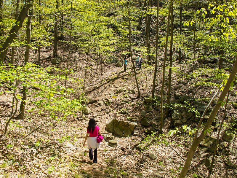 Hiking through the scenic trails of Harriman State Park, New York