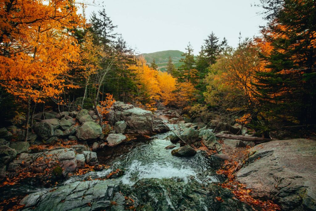 Incredible Fall Experiences in New Hampshire: From Colorful Foliage to the White Mountains