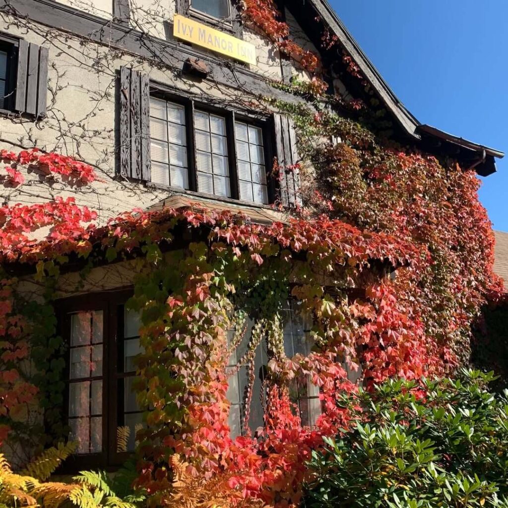 Ivy Manor Inn