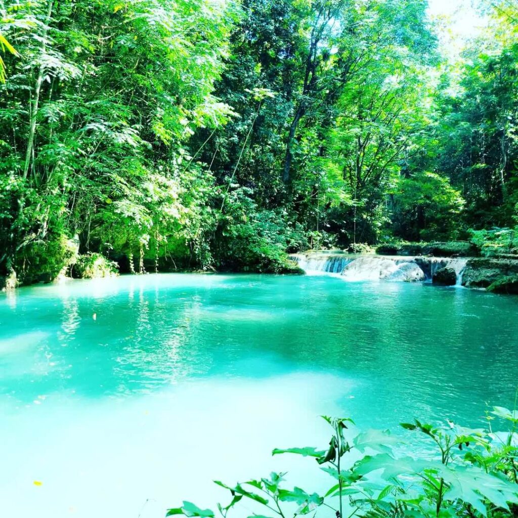 Jamaica State Park