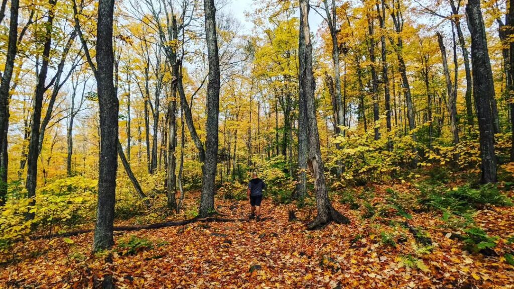 Maine