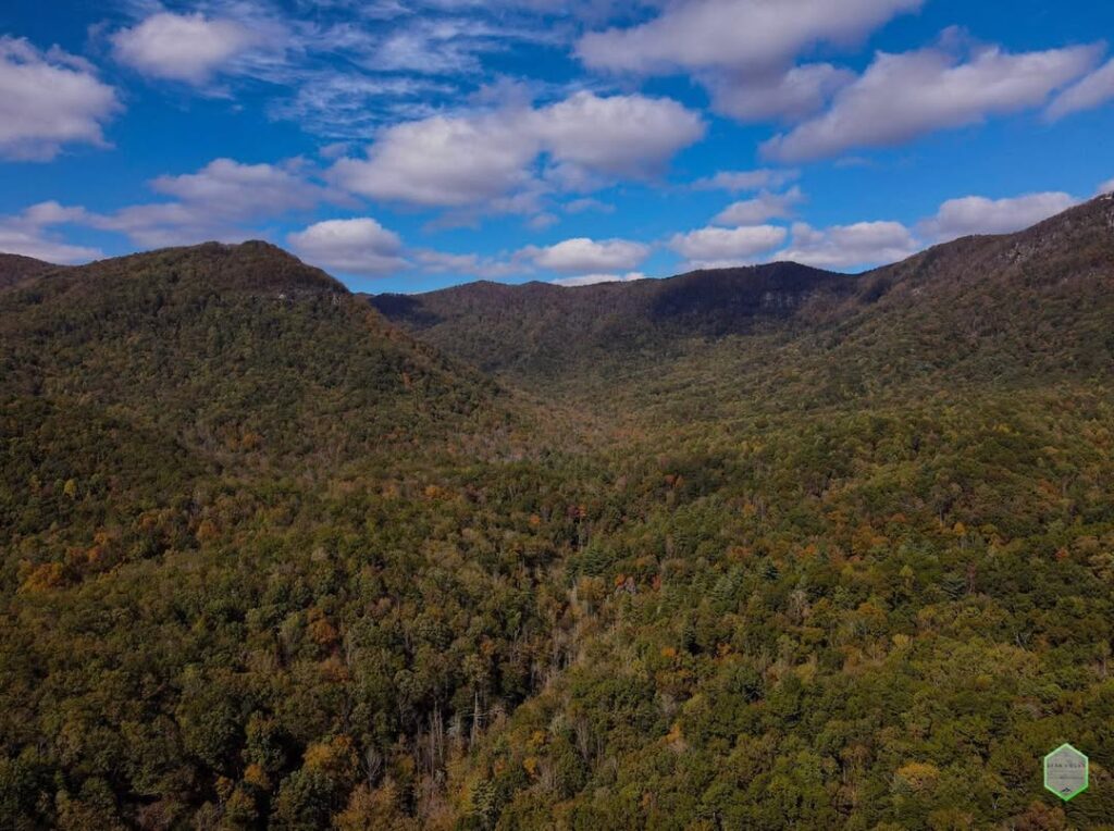 Mountain Bridge Wilderness Area