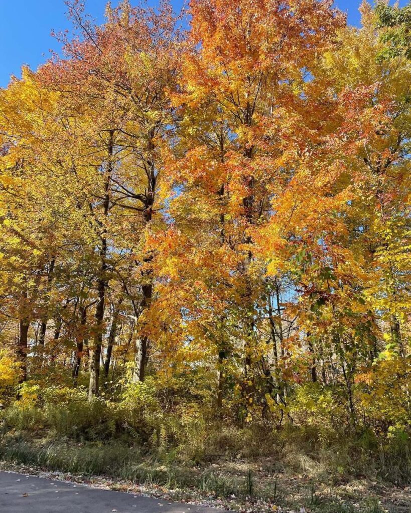 Presque Isle State Park – Erie