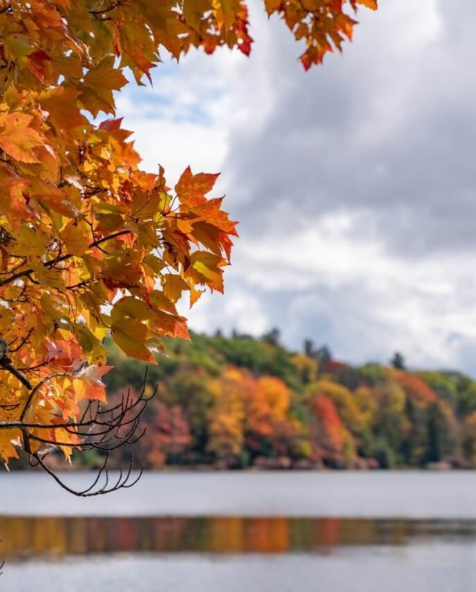 Promised Land State Park