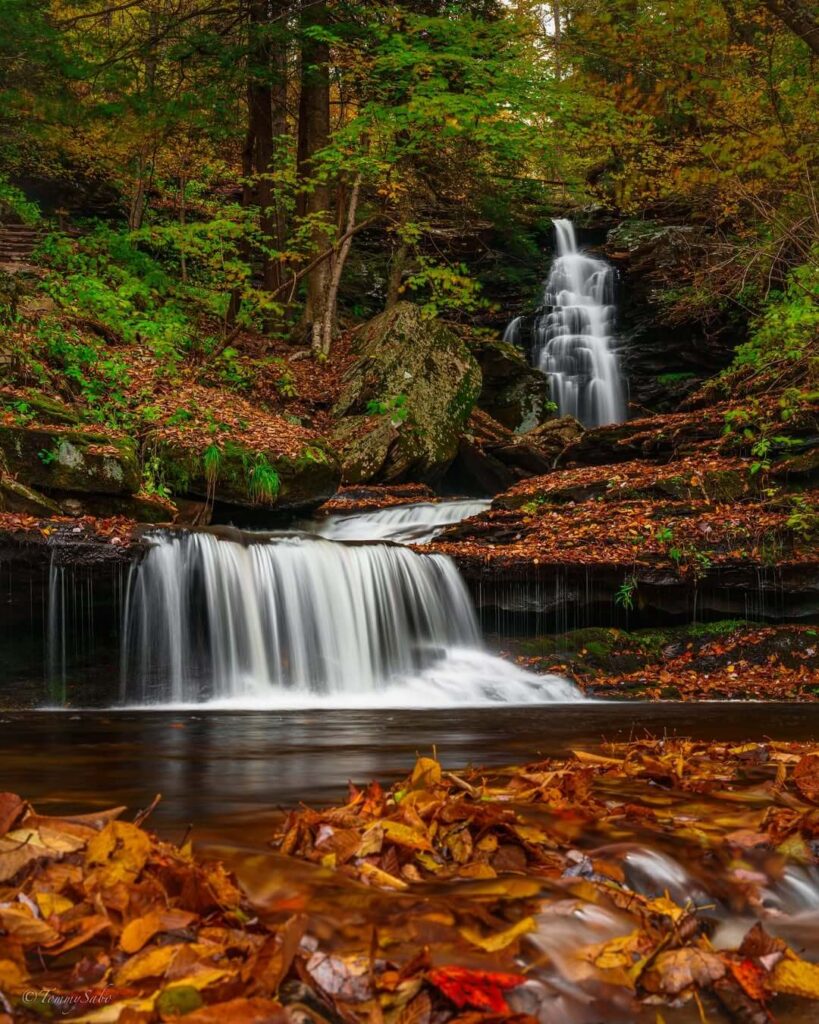 Ricketts Glen State Park