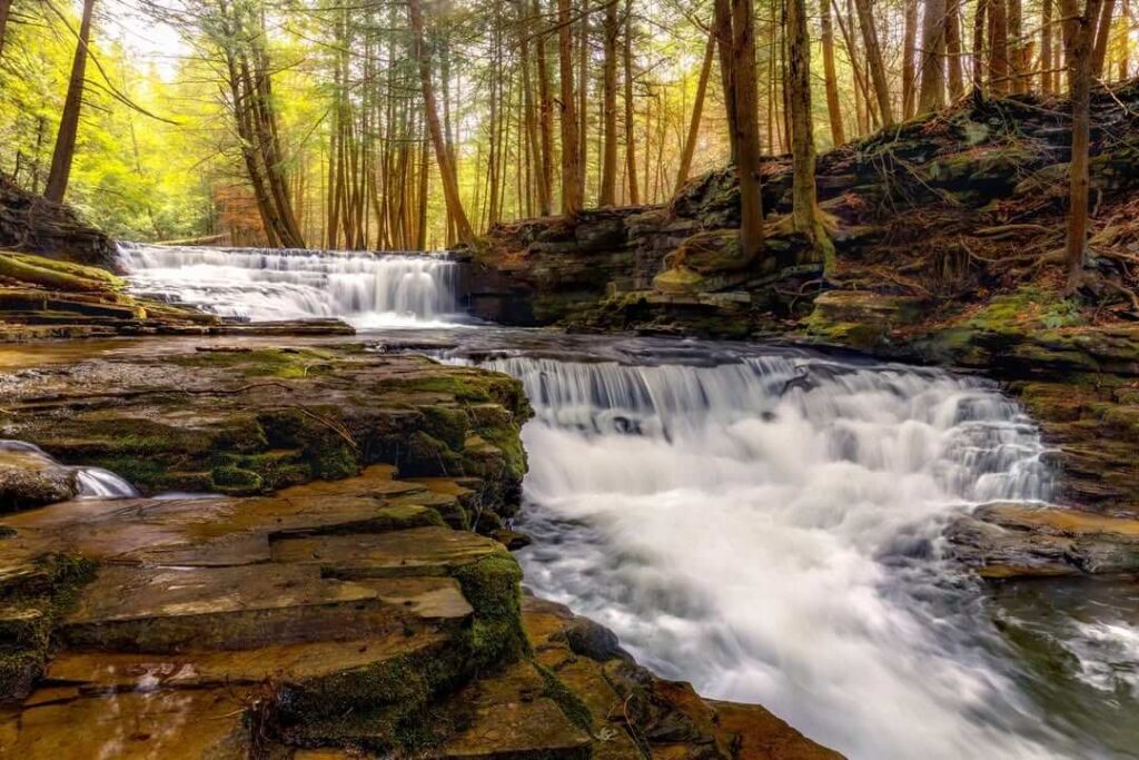 Salt Springs State Park