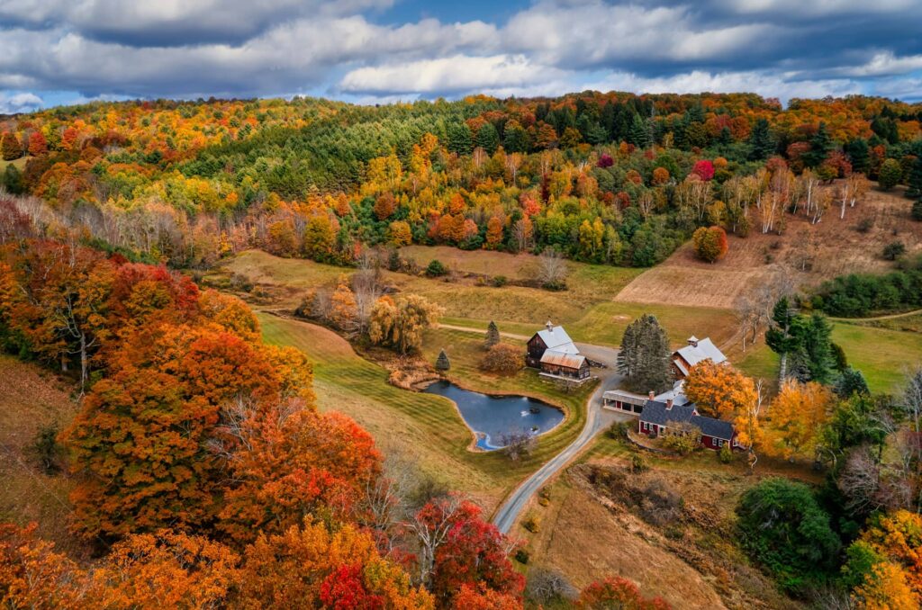 Scenic New England Fall Foliage Tours to Book This Autumn
