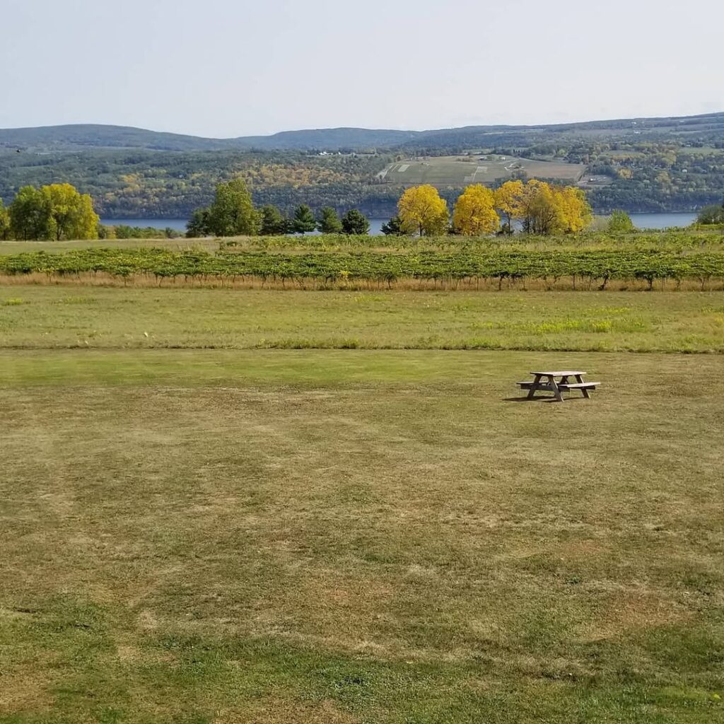 Seneca Lake Wine Trail