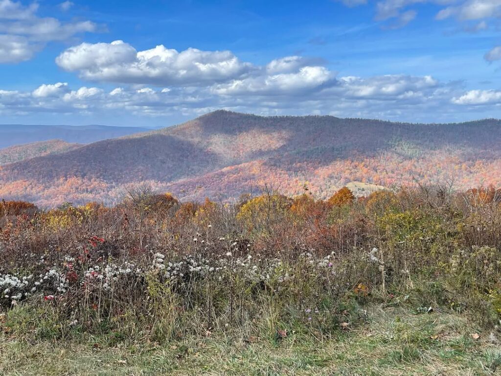 Shenandoah National Park, Virginia