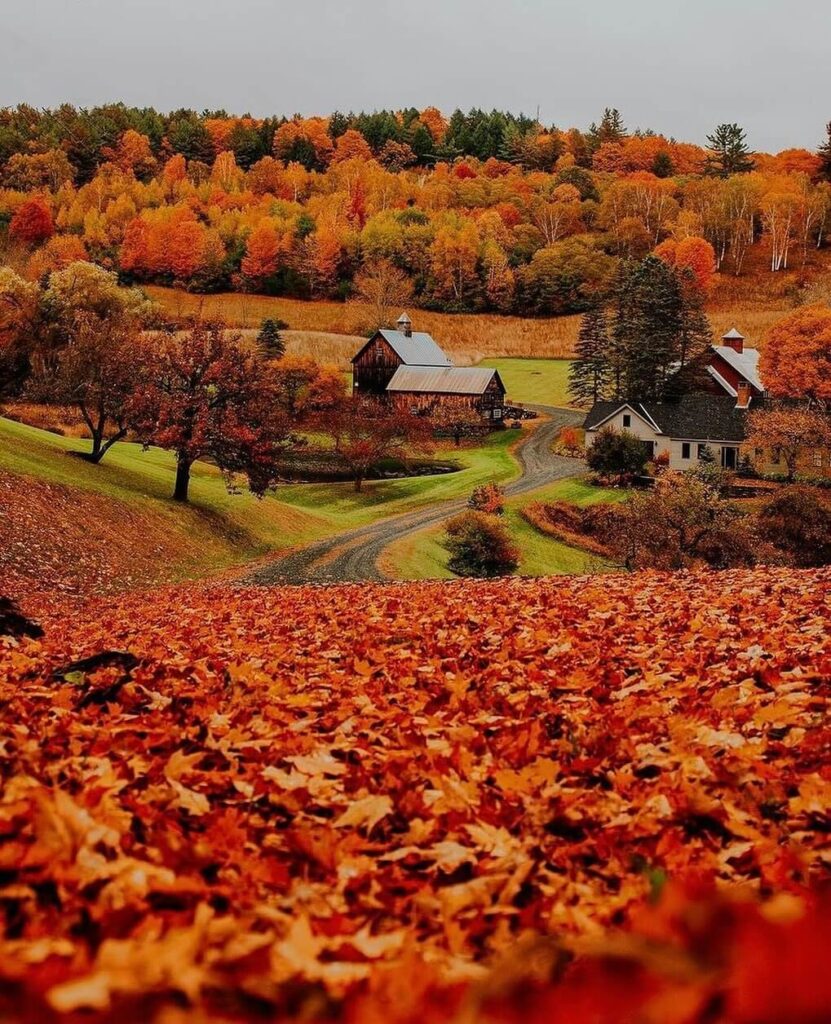 Sleepy Hollow Farm