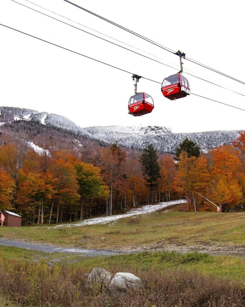 Stowe Gondola