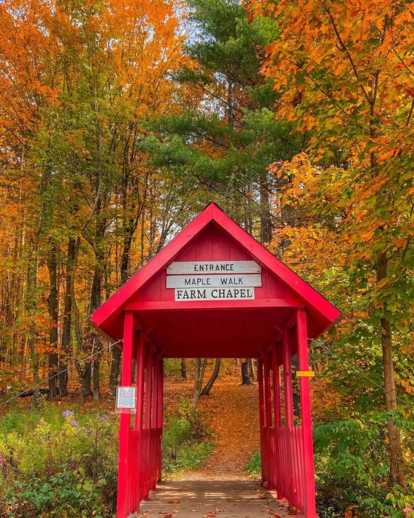 Sugarbush Farm