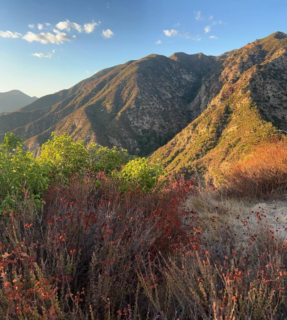 Sunset Ridge Trail