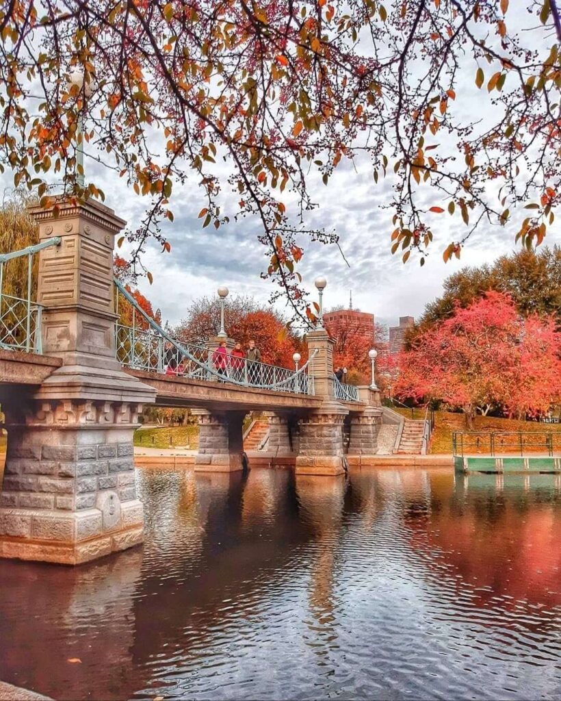 The Public Garden